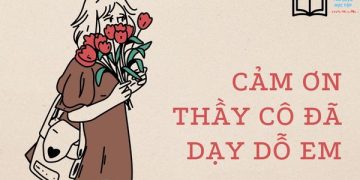 Bài văn tả cô giáo của em lớp 5 ngắm gọn, hay nhất Việt Nam