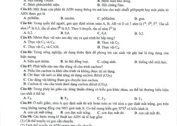 Đề minh họa môn sinh học thpt quốc gia 2023