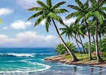 Bài văn tả cây dừa lớp 4 và 5 ngắn gọn