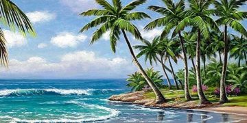 Bài văn tả cây dừa lớp 4 và 5 ngắn gọn