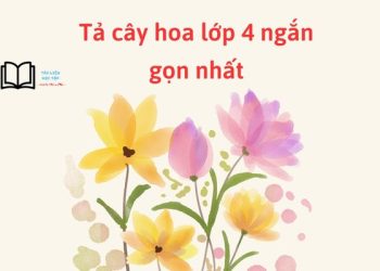Top 7 bài văn tả cây hoa lớp 4 ngắn gọn nhất chấm 8 điểm