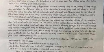 Đề thi văn cuối HK2 tỉnh Nam Định năm học 2022 2023