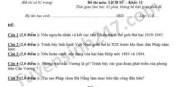 Bộ đề thi lịch sử lớp 11 cuối học kì 2 mới nhất 2023