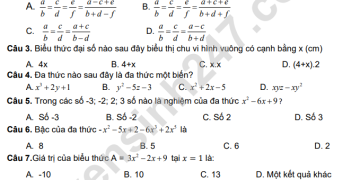Bộ đề thi cuối học kì 2 môn toán lớp 7 mới nhất 2023