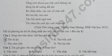 Bộ đề thi ngữ văn lớp 7 cuối học kì 2 năm học 2022 2023
