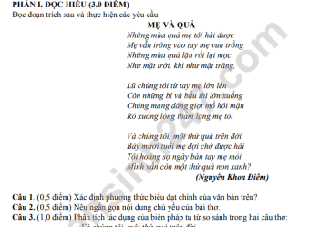 Đề thi ngữ văn lớp 8 cuối học kì 2 THCS Đoàn Lập 2023