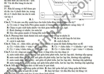Đề thi học kì 2 môn sinh lớp 12 THPT Nguyễn Văn Cừ 2022
