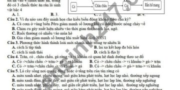 Đề thi học kì 2 môn sinh lớp 12 THPT Nguyễn Văn Cừ 2022