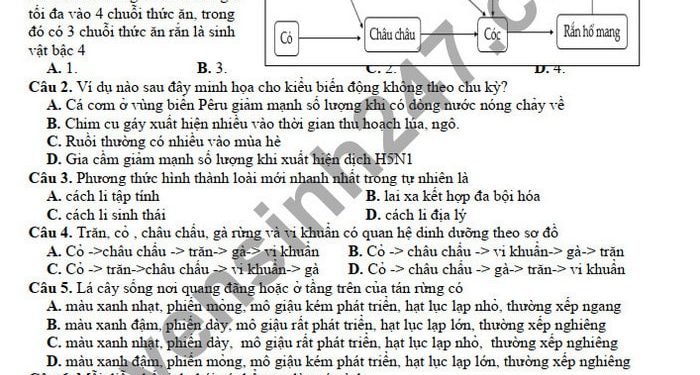 Đề thi học kì 2 môn sinh lớp 12 THPT Nguyễn Văn Cừ 2022
