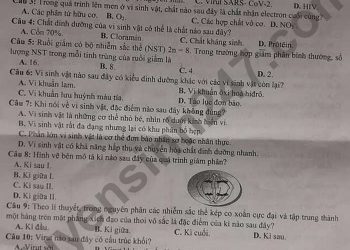 Bộ đề thi sinh cuối kì 2 lớp 10 mới nhất 2023