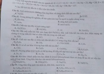 Đề thi thử môn Hóa THPT Quốc Gia 2023 TP Hà Nội có đáp án-mã đề 201