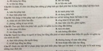 Đề thi thử môn GDCD THPT Quốc Gia 2023 tỉnh Cao Bằng