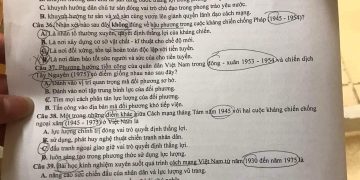 de-thi-thu-mon-lich-su-thpt-quoc-gia-2023-tp-hn-4
