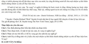 Đề thi thử môn Ngữ Văn THPT Quốc Gia TP Hà Nội 2023
