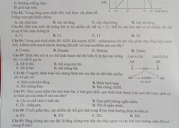 đề thi khảo sát chất lượng khối 12 THPT 2023 TP Hà Nội