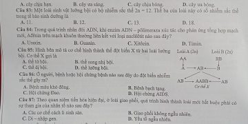 đề thi khảo sát chất lượng khối 12 THPT 2023 TP Hà Nội