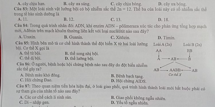đề thi khảo sát chất lượng khối 12 THPT 2023 TP Hà Nội