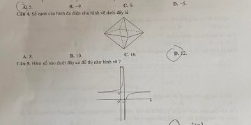 Đề thi thử môn toán THPT Quốc Gia TP Hà Nội 2023 có đáp án