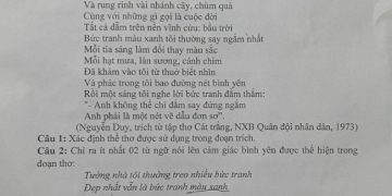 Đề thi thử văn tốt nghiệp THPT Đông Hưng Hà 2023 lần thứ 2