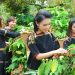 29 câu trắc nghiệm địa 12 bài 37: Vấn đề khai thác ở thế mạnh Tây Nguyên