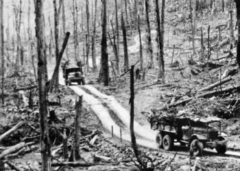 Làm 12 câu hỏi trắc nghiệm lịch sử 12 bài 22 mức độ Vận Dụng