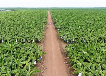 Làm online 15 câu hỏi trắc nghiệm địa 12 bài 25 có đáp án