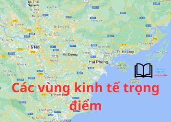 Làm Online 30 câu hỏi trắc nghiệm địa 12 bài 43 có đáp án