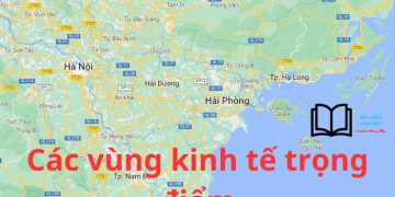 Làm Online 30 câu hỏi trắc nghiệm địa 12 bài 43 có đáp án