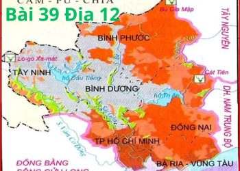 Làm Online 20 câu hỏi trắc nghiệm địa 12 bài 39 có đáp án