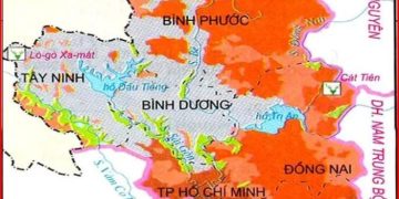 Làm Online 20 câu hỏi trắc nghiệm địa 12 bài 39 có đáp án