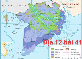 Làm online 27 câu trắc nghiệm Địa 12 bài 41 có đáp án