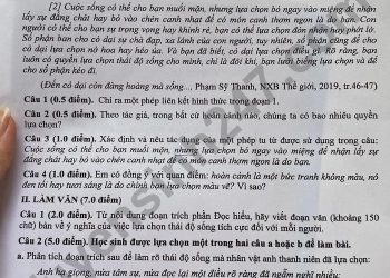 Đề thi tuyển sinh vào lớp 10 môn văn Đồng Nai 2023 có đáp án