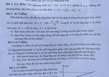 Đề thi tuyển sinh lớp 10 môn toán TPHCM 2023