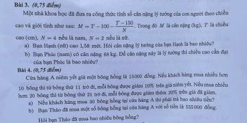 Đề thi tuyển sinh lớp 10 môn toán TPHCM 2023