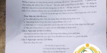 Đề thi tuyển sinh vào lớp 10 môn văn Nghệ An 2023