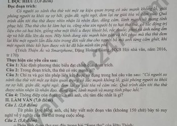 Đề thi tuyển sinh vào lớp 10 môn văn Tiền Giang 2023