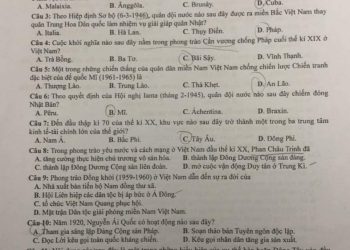 de-thi-lich-su-thpt-quoc-gia-2023-ma-310