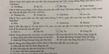 de-thi-lich-su-thpt-quoc-gia-2023-ma-310