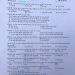 de-thi-sinh-thpt-quoc-gia-2023-1