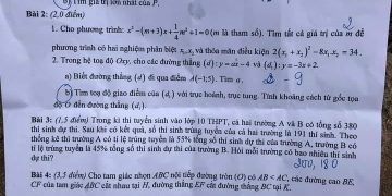 Đề thi tuyển sinh lớp 10 môn toán Bình Định 2023