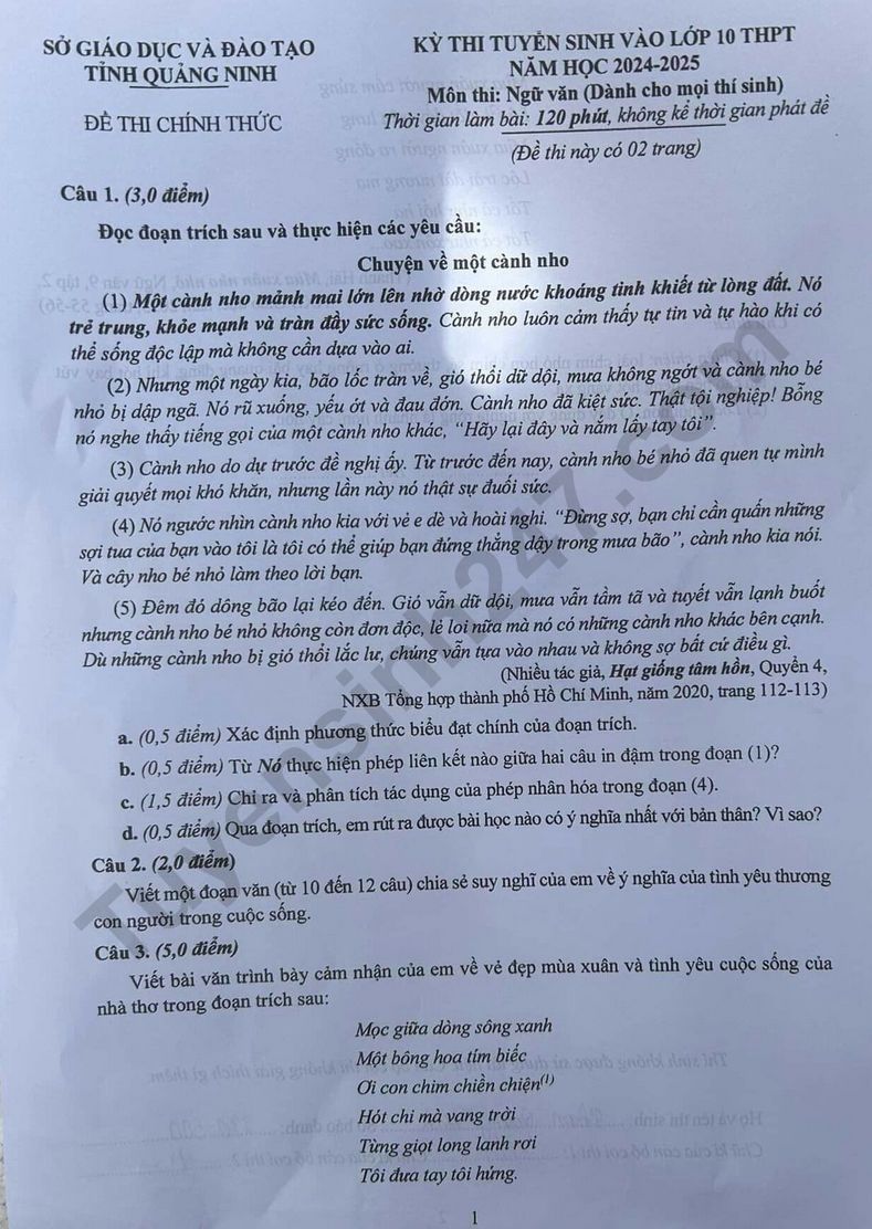 Đề thi tuyển sinh vào lớp 10 môn văn tỉnh Quảng Ninh 2024