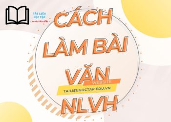 cach-lam-bai-van-nghi-luan-van-hoc