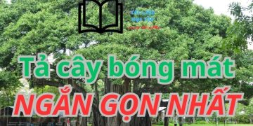 ta-cay-bong-mat-lop-4-5-ngan-gon-min