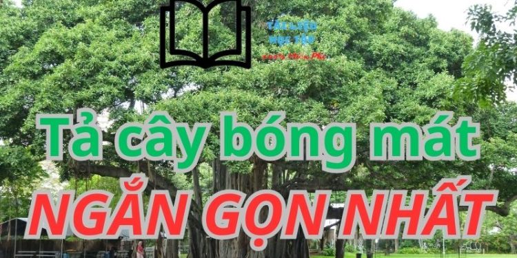 ta-cay-bong-mat-lop-4-5-ngan-gon-min