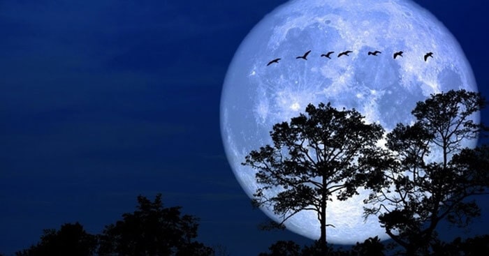 Bài văn tả cảnh đẹp đêm trăng rằm tháng 8 lớp 5 ngắn gọn