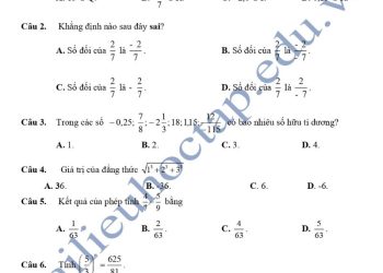 Đề thi giữa HK1 môn toán lớp 7 THCS Giao Nhân 2023 có đáp án