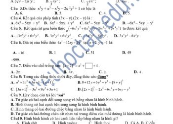 de-thi-toan-giua-hk1-lop-8-truong-thcs-ngo-dong-1