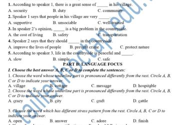 Đề thi giữa HK1 Tiếng Anh lớp 8 THCS Giao Lạc 2023