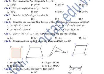 đề thi giữa HK1 môn toán lớp 8 THCS Giao Nhân 2023