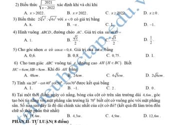 de-thi-giua-hk1-mon-toan-lop-9-truong-thcs-giao-thuy 1